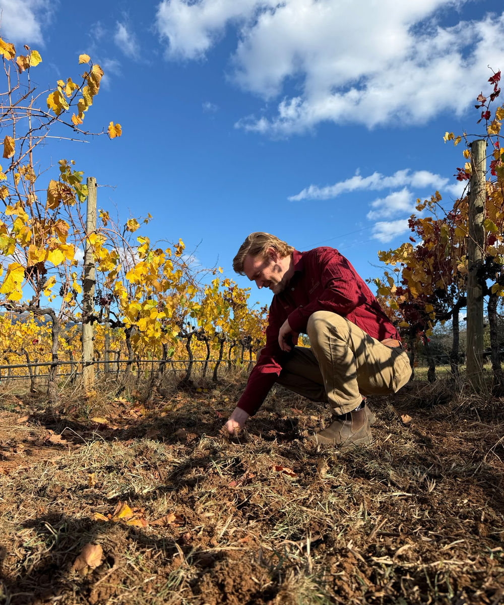 VineTrack founder Jonathan Hambrook in the vineyard